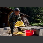 四都黄家河见闻-收蜂蜜-3