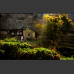 苗乡的早晨