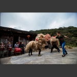 烽火土家部落草狮灯4