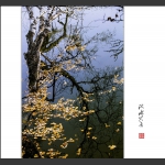 秋水共长