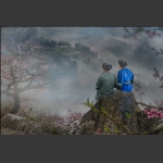 醉美我的家园
