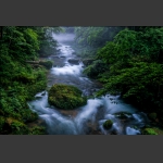 金鞭水韵