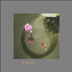 莲年有鱼
