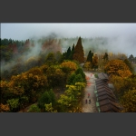 天子山秋色