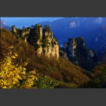 天子山秋色8