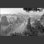前花园