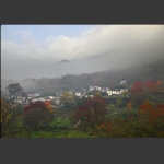 塔川之秋