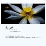 荷话1