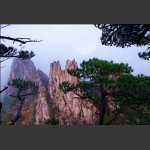 烟雨黄山