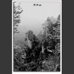 水墨天子山-1