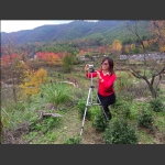 山村美如画