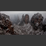 冬雪-1