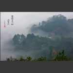 云雾山中有人家