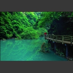 在水一方