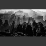 峰林