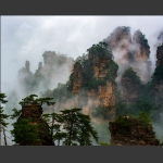 养在深闺