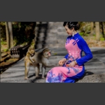 和谐