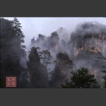 仙境组照