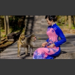 和谐
