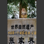 “卫士”