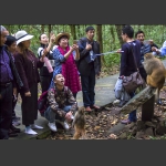 猴年拍猴