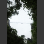 通天大道