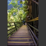 峡谷阳光