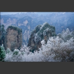 雪