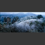 雪