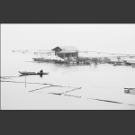 清江雪