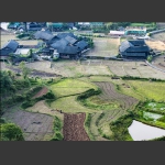 峡谷田间
