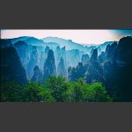 秀树奇峰