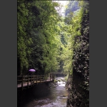 小溪风光
