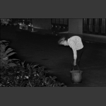 脊梁