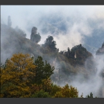 秋色天子山