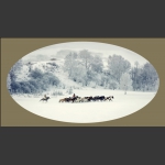 雪域牧歌