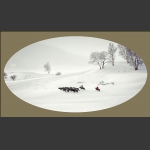 雪域牧歌