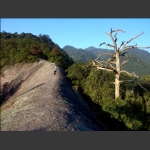 枯树、马背山