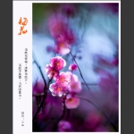 梅花