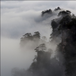烟雨天子山