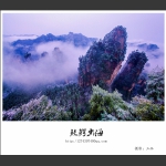 鲛鳄出海