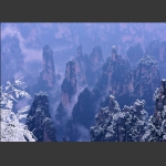 天子山雪韵