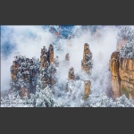 春雪妖娆