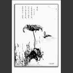 残荷-4