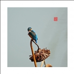 小翠
