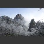黄山雾凇