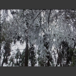 神鹰山春雪【一】