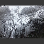 神鹰山春雪【二】