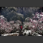 留下雪景
