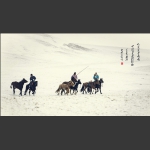 雪野归途